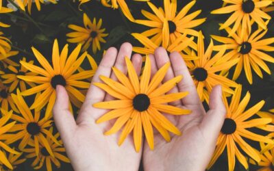 Jak zwęzić pory skóry domowymi metodami? Praktyczny przewodnik