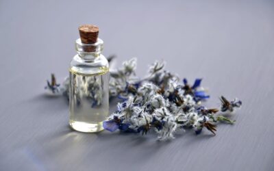 Jak wybrać perfumy online bez testera? Przewodnik dla zakupowiczów
