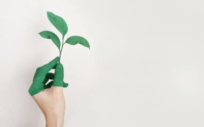 Naturalne metody na baby hair dla szybszego wzrostu włosów