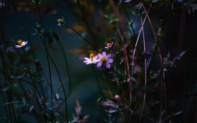 Alternatywy dla Peelingów Ziarnistych w Pielęgnacji Wrażliwej Cery