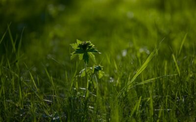 Skuteczna rutyna acne-safe za 100 zł